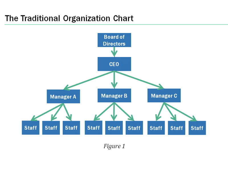 hierarchy org chart